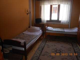 Отель Family Hotel Kalina Копривштица Двухместный номер с 1 кроватью или 2 отдельными кроватями-3